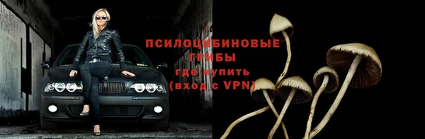 apvp Михайловка