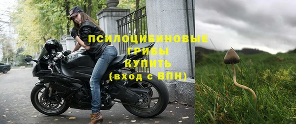 apvp Михайловка