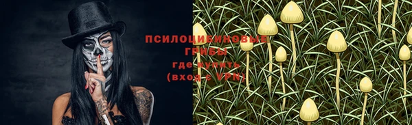Альфа ПВП Михайловск