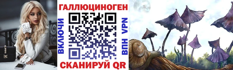 Псилоцибиновые грибы Psilocybe  Барнаул 